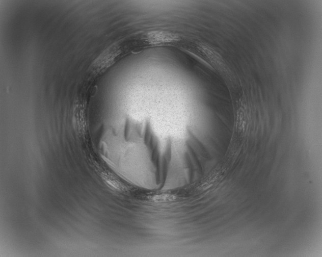 X0000052990426200507221226