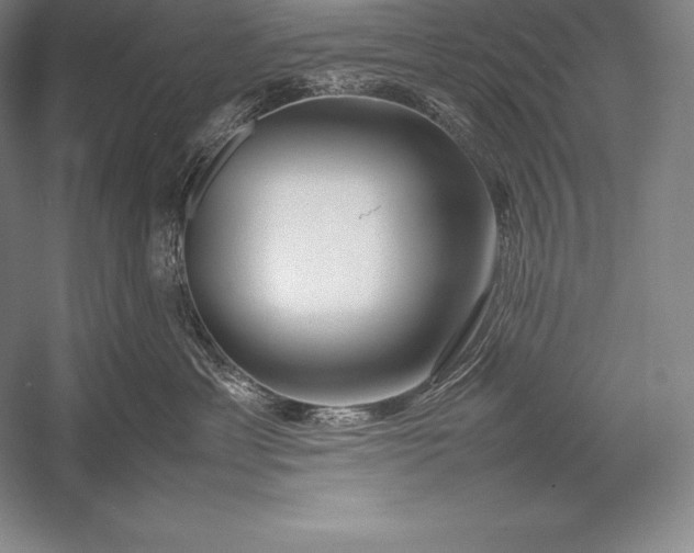 X0000052990429200507221226