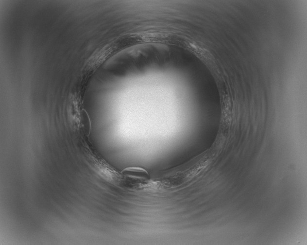 X0000052990430200507221225