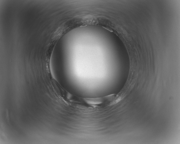 X0000052990432200507221225