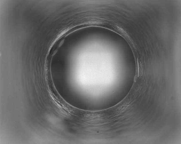 X0000052990435200507221225