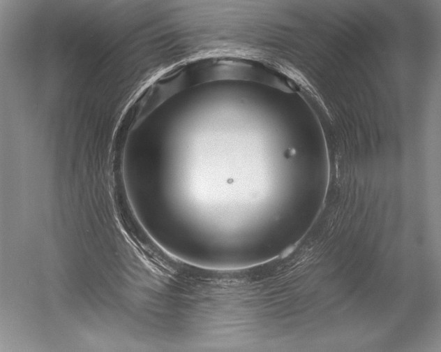 X0000052990436200507221225