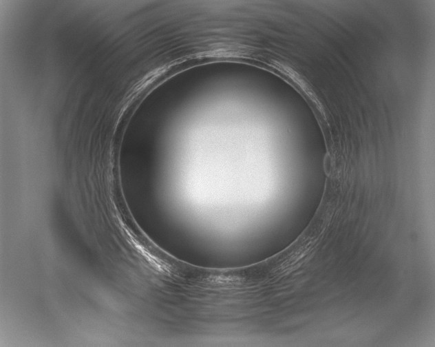 X0000052990437200507221225
