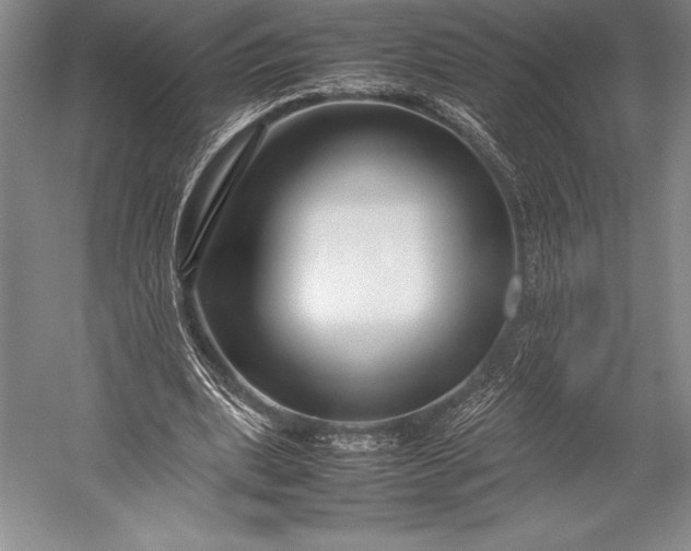 X0000052990439200507221225