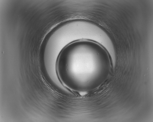 X0000052990440200507221225