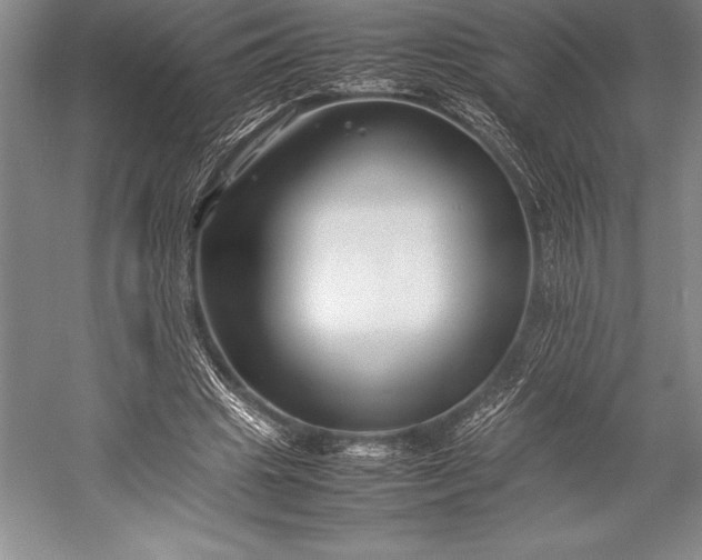 X0000052990441200507221225