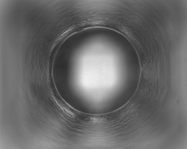 X0000052990442200507221225