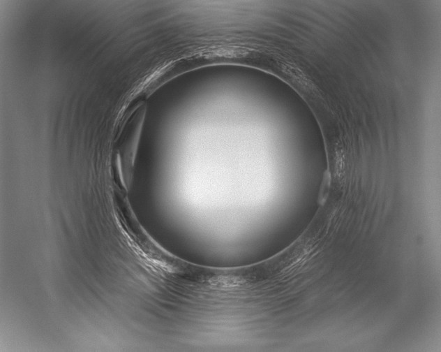 X0000052990444200507221225