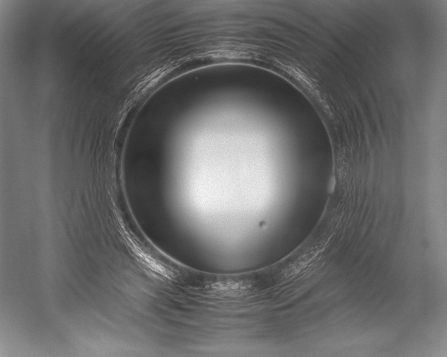 X0000052990445200507221225
