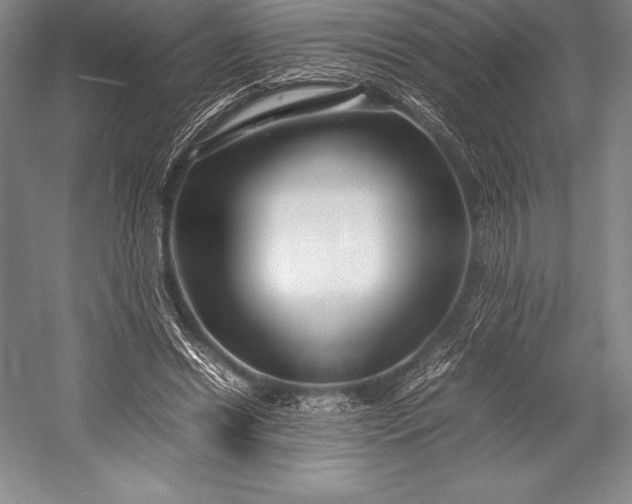 X0000052990446200507221225