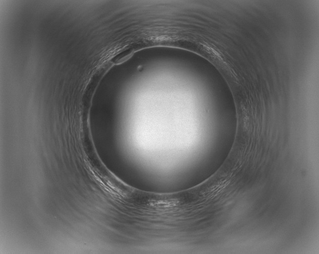X0000052990447200507221225