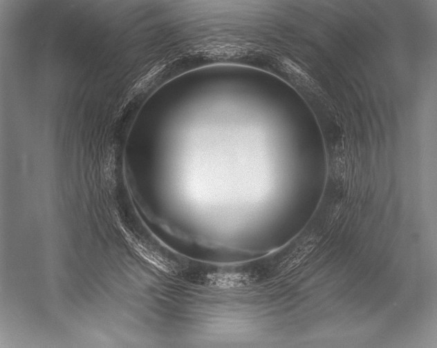 X0000052990448200507221225