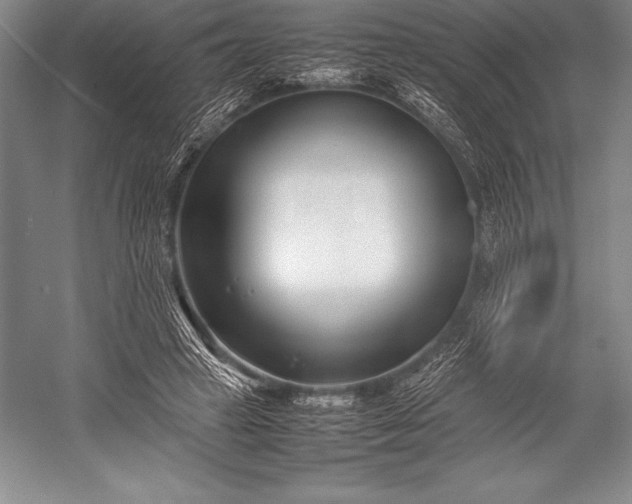 X0000052990449200507221225
