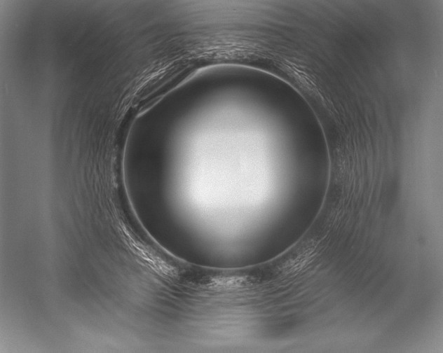 X0000052990450200507221225