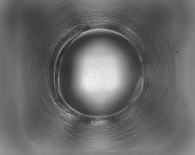 X0000052990452200507221225