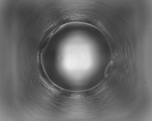 X0000052990454200507221225