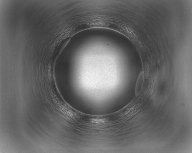 X0000052990457200507221225