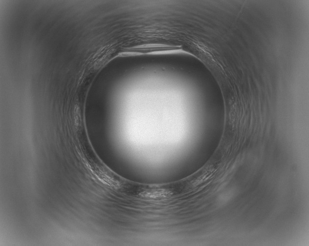 X0000052990459200507221225