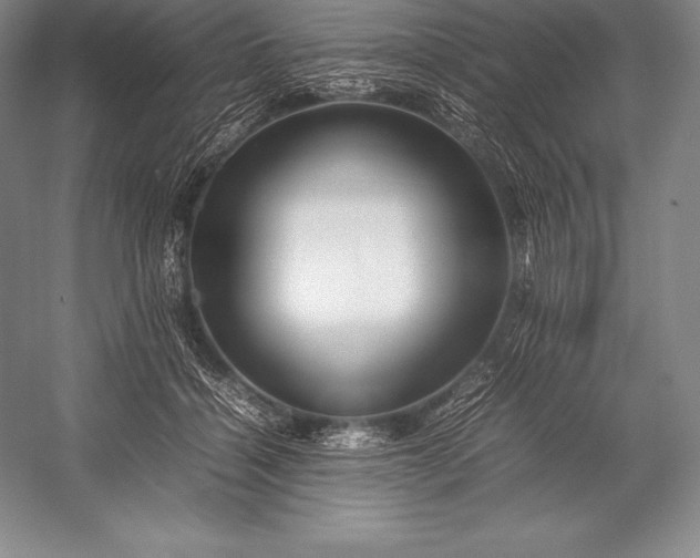 X0000052990460200507221225