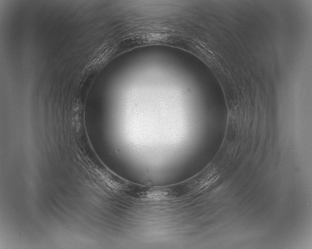 X0000052990462200507221225