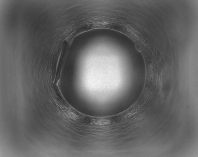 X0000052990463200507221225