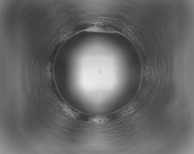 X0000052990466200507221225