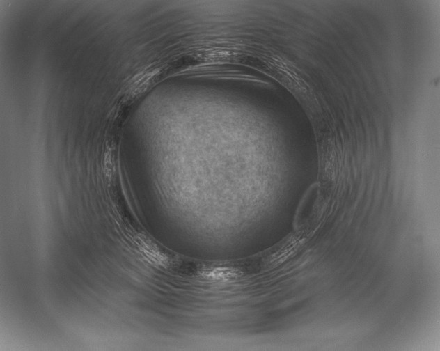 X0000052990467200507221225