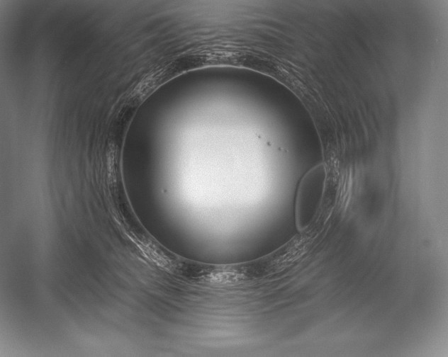 X0000052990468200507221225