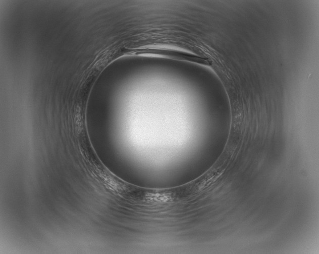 X0000052990469200507221225