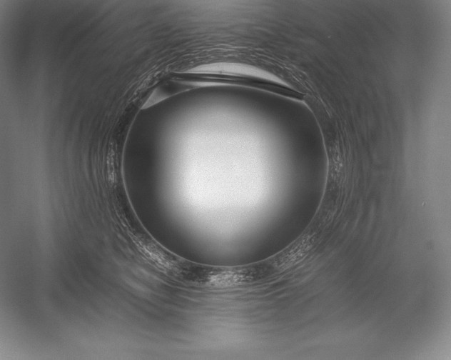 X0000052990470200507221225