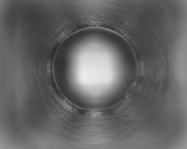 X0000052990472200507221225