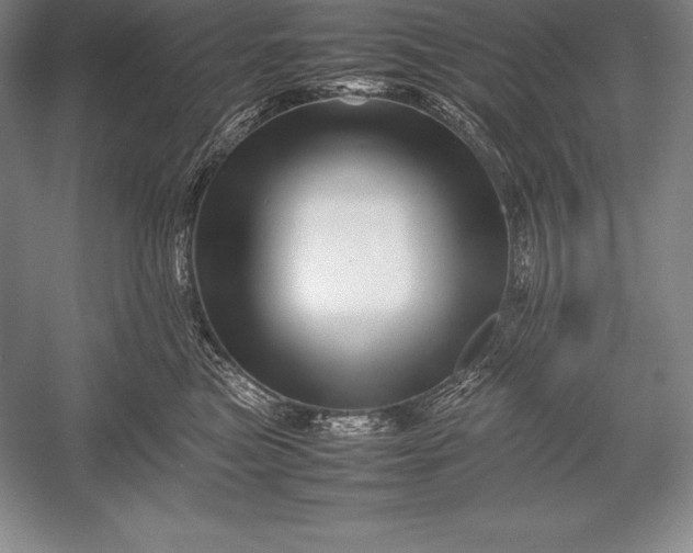 X0000052990473200507221225