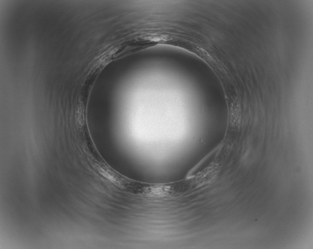 X0000052990474200507221225