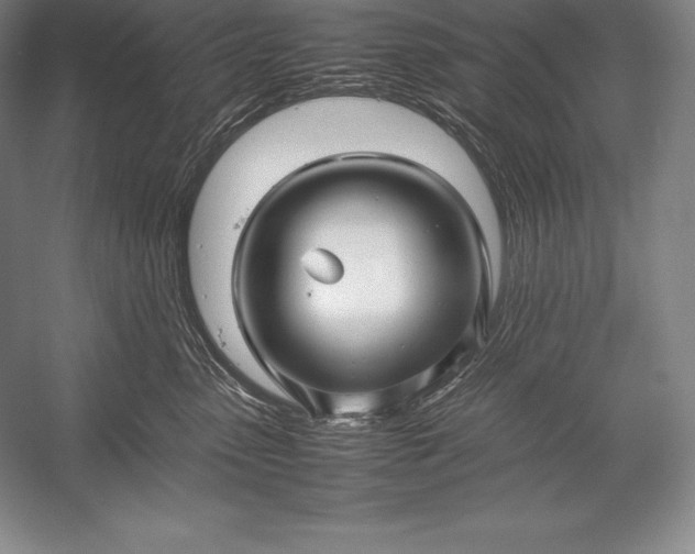 X0000052990475200507221225