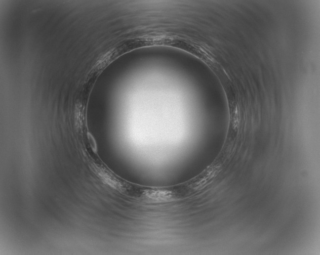 X0000052990476200507221225