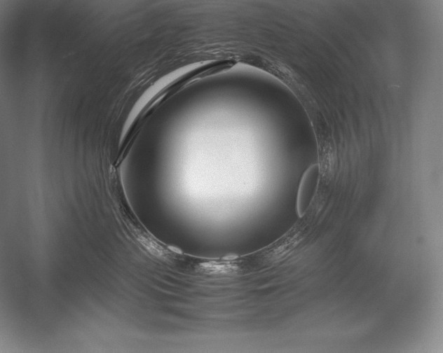 X0000052990477200507221225
