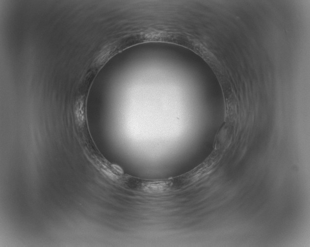 X0000052990479200507221225