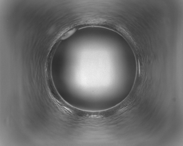 X0000052990483200507221225