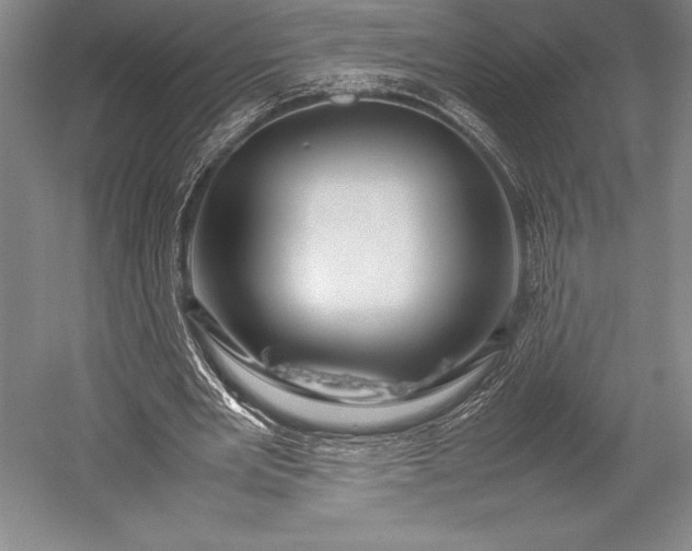 X0000052990485200507221225
