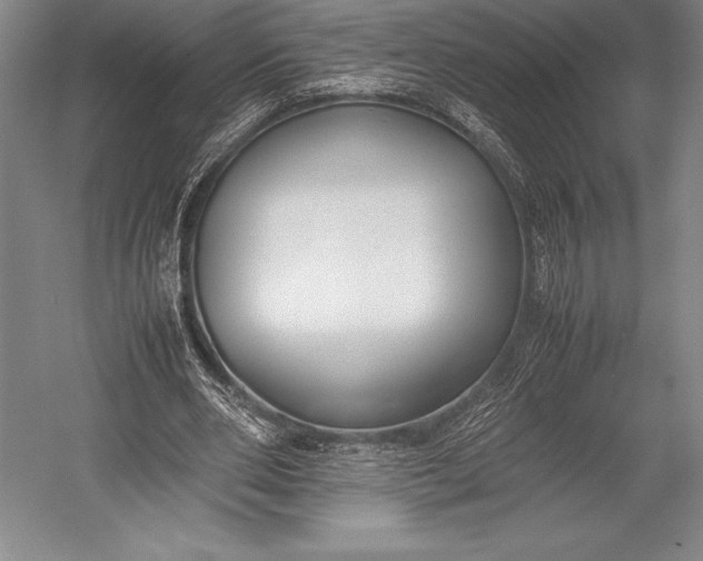 X0000052990486200507221225
