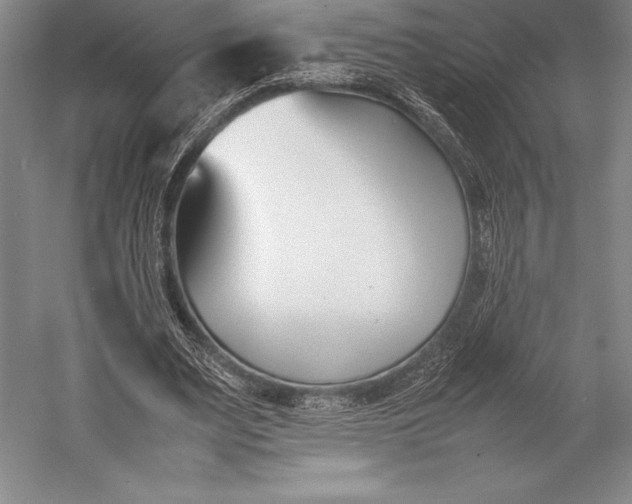 X0000052990487200507221225