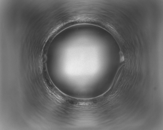 X0000052990488200507221224