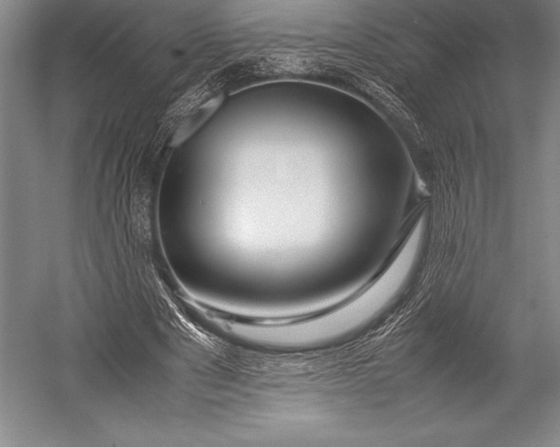 X0000052990489200507221224