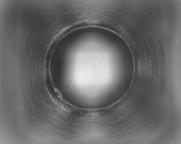 X0000052990492200507221224