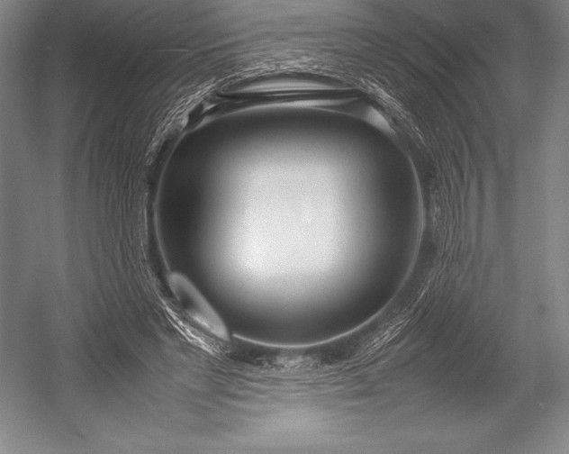 X0000052990493200507221224