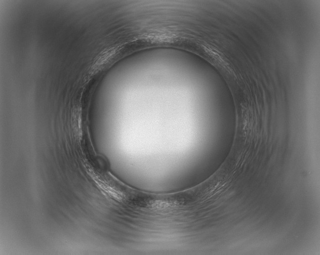 X0000052990494200507221224