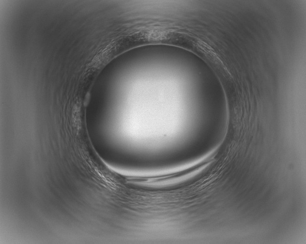 X0000052990497200507221224