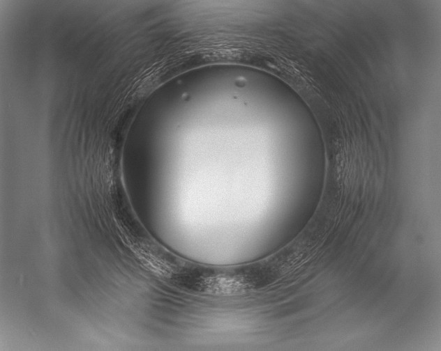 X0000052990498200507221224