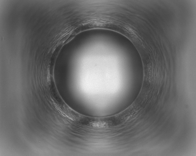 X0000052990500200507221224