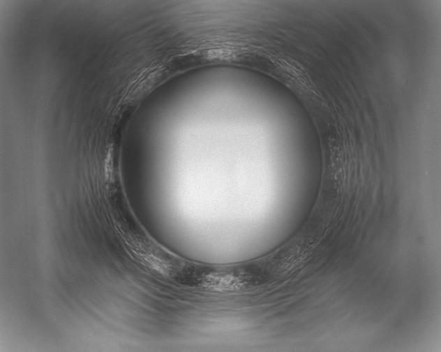 X0000052990502200507221224